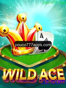 WildAce: Uma Imersão no Universo de Pouco777.app